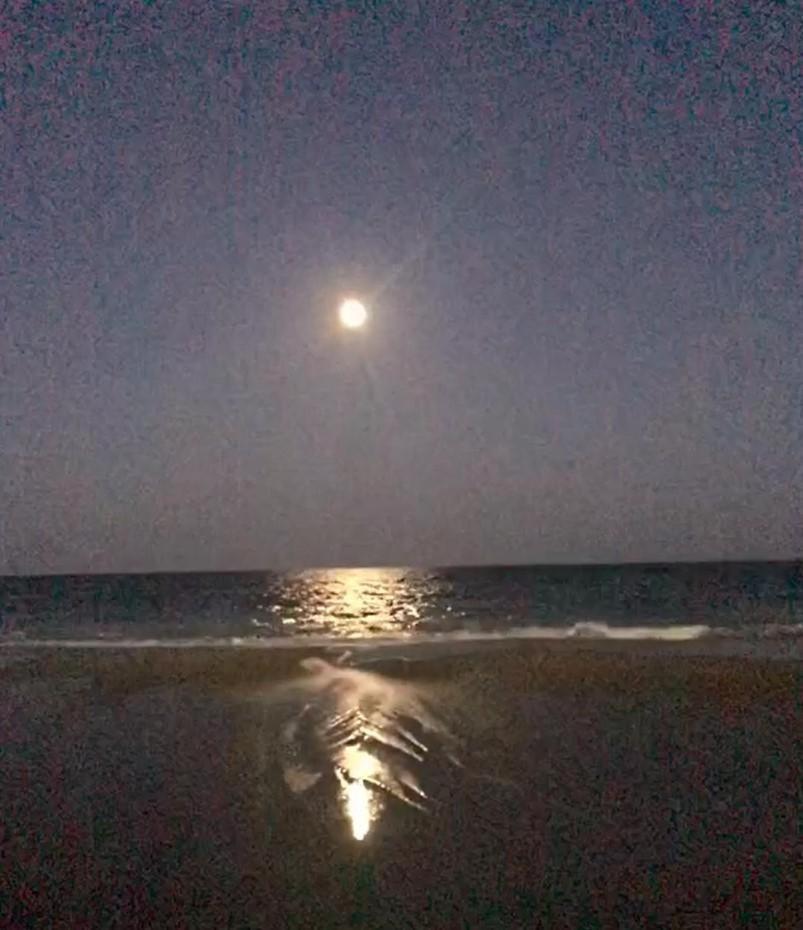 2501 S Ocean Blvd, 0811 - Ocean Front Sleeps 6 Villa Myrtle Beach Eksteriør bilde